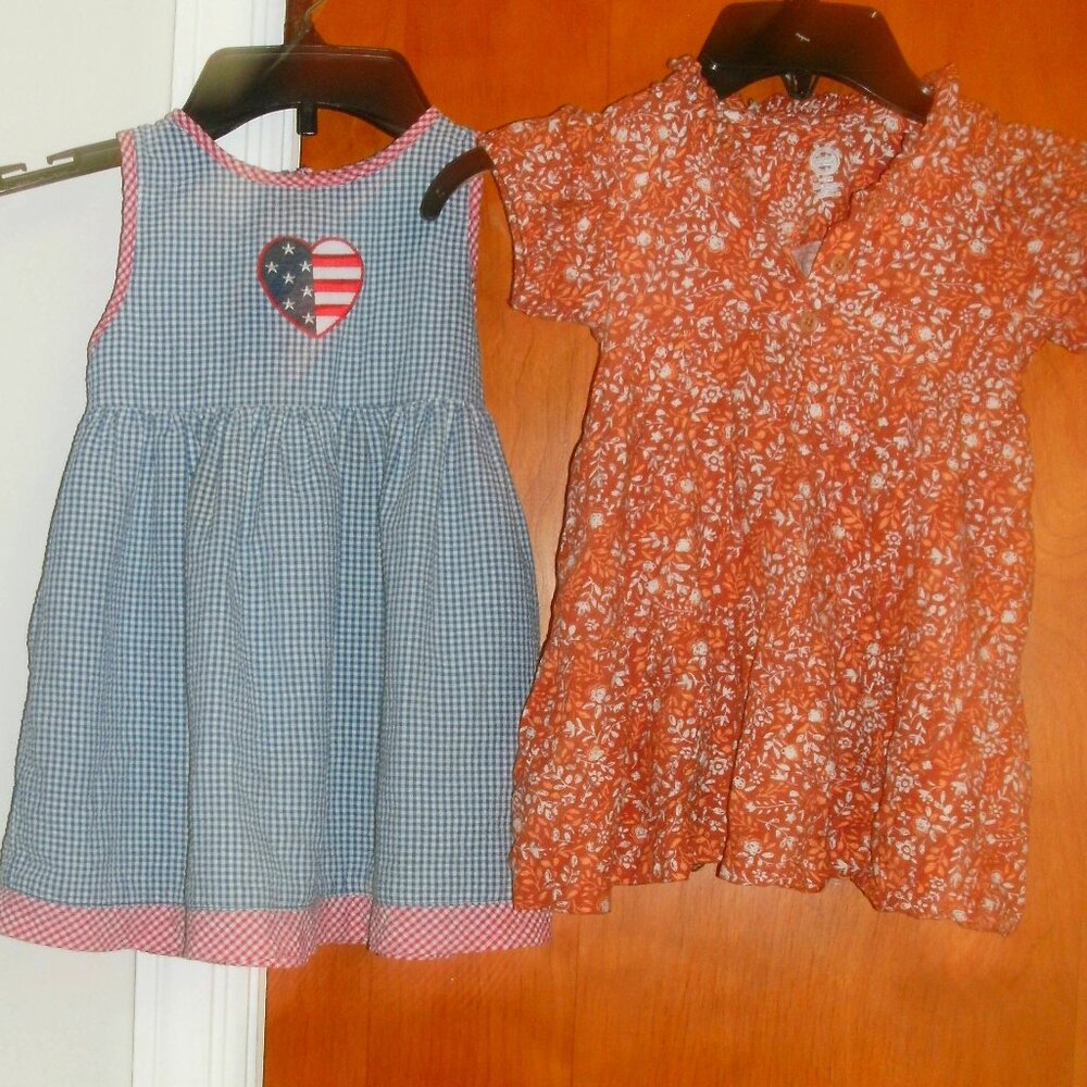 TWO ~ DRESSES blue white red gingham Sundress 2T & brown orange floral Dress 18M